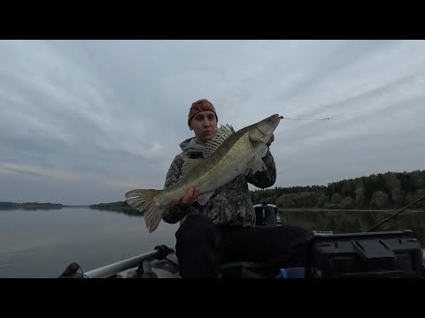 Видео: ЛОВЛЯ ОСЕННЕГО ХИЩНИКА НА СПИННИНГ,СУДАК НА ДЖИГ, МОЖАЙСКОЕ ВОДОХРАНИЛИЩЕ #fishing #рыбалка #судак