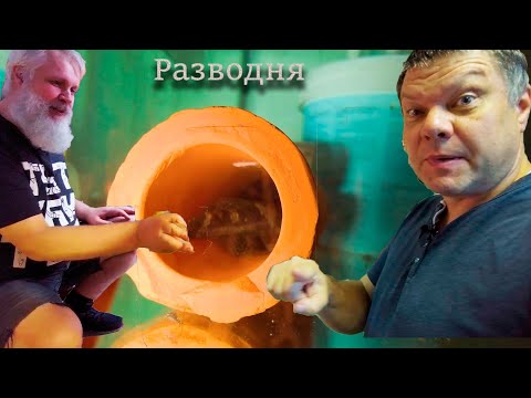 Видео: Фильм про РА РА РА разводню