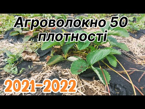 Видео: Чому не варто купувати чорне агроволокно 50 плотності в 2022