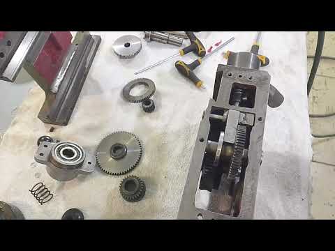 Видео: 6 ноября 2025 г.