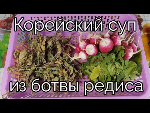 Видео: Корейский суп из БОТВЫ РЕДИСА рецепт Korean Radish Tops Soup recipe 시래기국