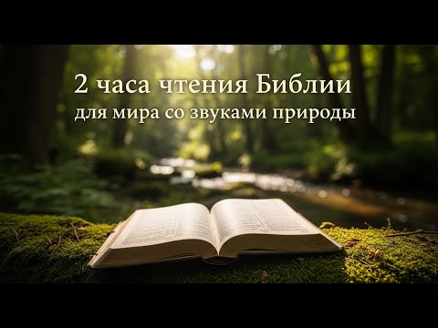 Видео: 2 часа Библии для мира со звуками природы #библия