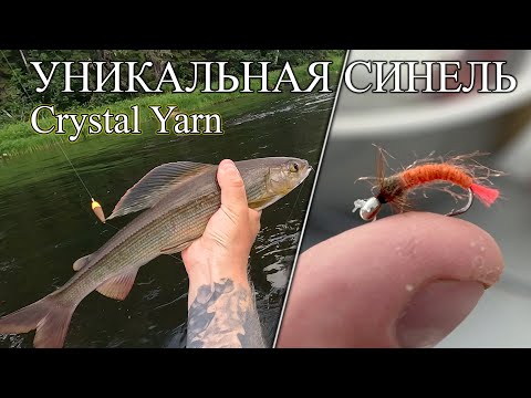 Видео: Crystal Yarn- Уникальная Синель И ВОТ ПОЧЕМУ! Хариусы Едят с Удовольствием!