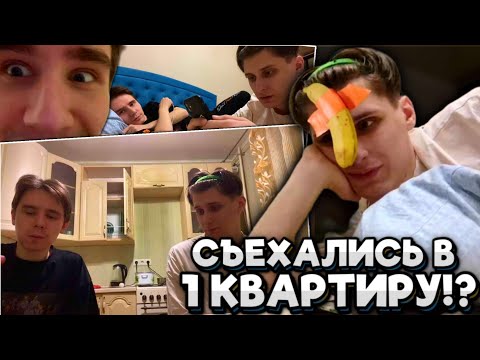 Видео: СЕКБИ И КЛЭШ ЖИВУТ ВМЕСТЕ!? КУКИНГ СТРИМ! Не Майншилд