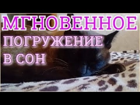 Видео: Усыпляющая музыка для кошек, котов, котят и собак Расслабляющая кошачья и собачья музыка колыбельная