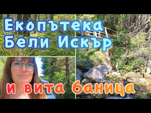 Видео: Екопътека Бели Искър и рецепта за бърза вита баница.