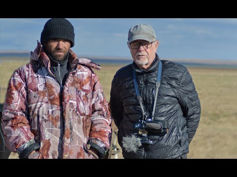 Видео: Светлогорский табун.