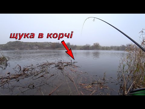 Видео: ОЦЕ ТАК КАБАНИ ЗАГИБАЛИ. ТУТ крупна риба! рибалка с берега на спінінг