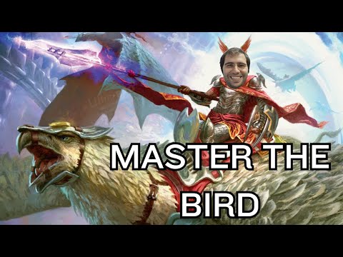 Видео: КУРС ПО ПТИЦАМ