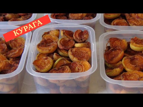 Видео: Домашняя КУРАГА. Чем полезна, как хранить, и почему я сушу её этим способом