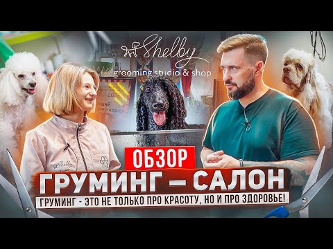 Видео: SPA для собак, именитые грумеры и премиальная косметика... | Груминг-салон SHELBY г.Москва