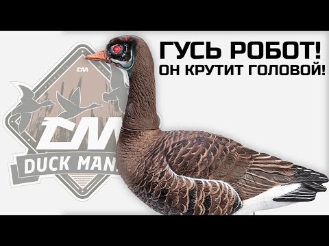 Видео: ПЕРВЫЙ ГУСЬ РОБОТ ОТ DUCK MANIA КОТОРЫЙ КРУТИТ ГОЛОВОЙ