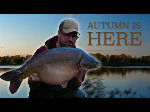 Видео: Получите максимум удовольствия от осенней рыбалки на карпа — Лоз Ист отправляется в Нортон Дисней 🎣