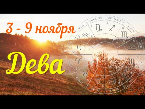 Видео: ДЕВА♍️Прогноз на неделю с 3 по 9 ноября .