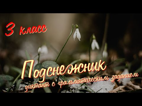 Видео: Диктант по русскому языку c грамматическим заданием! 3 класс. Подснежник