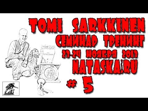 Видео: Tomi Sarkkinen. Семинар-тренинг #5 "Ретриверский фильд-тральс, особенности подготовки и проведения"