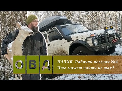 Видео: Четвертый рабочий поселок. НАЗИЯ, бывшие торфоразработки. Здесь живут люди!
