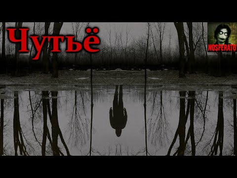 Видео: Чутьё. Страшные истории на ночь. Страшилки на ночь