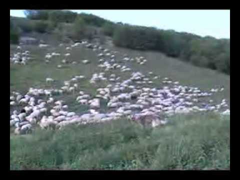 Видео: Zapis o selu NOMADI IZ HERCEGOVINE , Запис о селу: Номади из Херцеговине