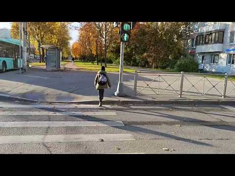Видео: 10 октября 2025 г.