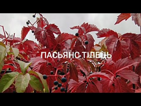 Видео: Пасьянс Тілець♉ 7-13.10.24 🤫🎁🤩Таро