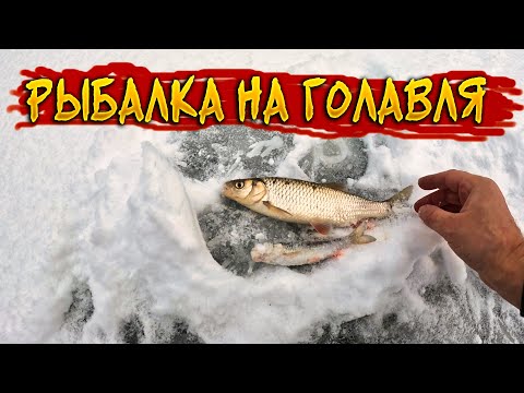 Видео: Зимняя рыбалка на голавля. Ищу рыбные места 🐟