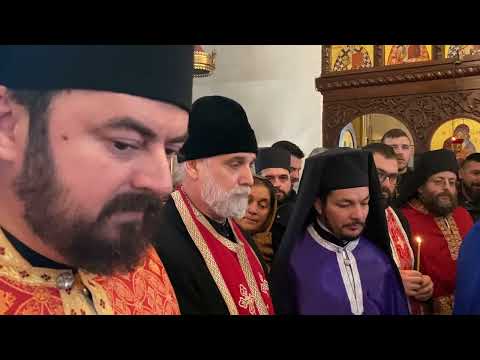 Видео: ОПИЈЕЛО СХИАРХИМАНДРИТУ ЈОИЛУ 21.2.2022.Љ.Г.