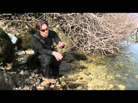 Видео: Диалоги о рыбалке. Черногория. Форель. Часть 1 (HD)