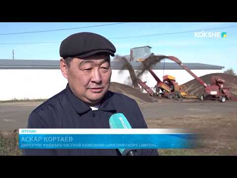 Видео: KOKSHE AQPARAT | Итоговые новости - 10.10.2025