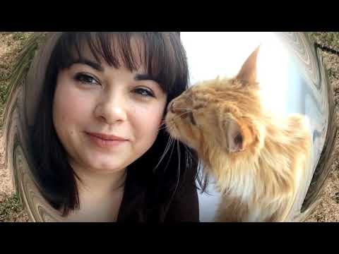 Видео: Пепино. Дегустация. Мой опыт выращивания. Мариана и Михаил/Life in the village