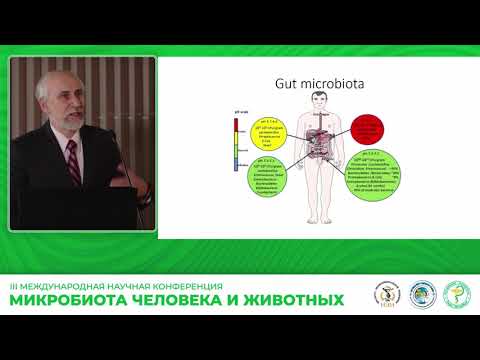 Видео: Суворов Александр Николаевич: МИКРОБИОТА КИШЕЧНИКА В XXI ВЕКЕ