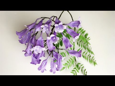 Видео: ABC TV | Как сделать бумажный цветок Jacaranda Mimosifolia из крепированной бумаги