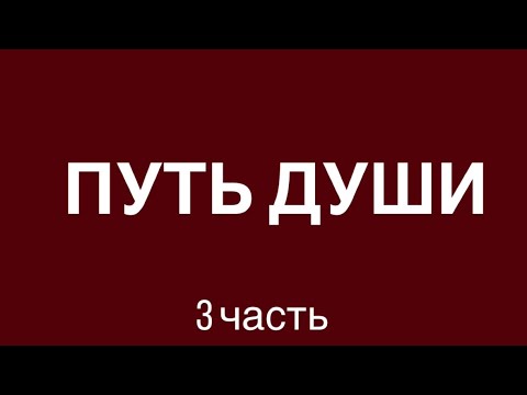 Видео: 1 октября 2025 г.