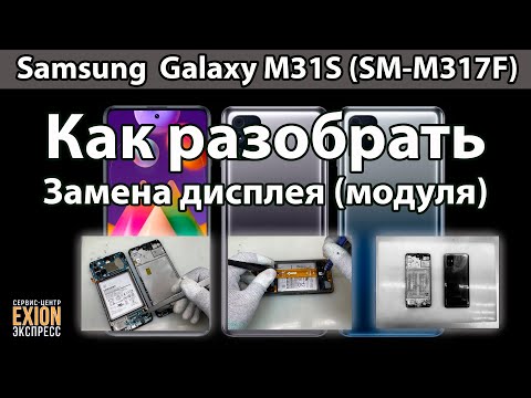 Видео: Samsung  Galaxy M31S (SM-M317F) - Полный разбор устройства и Замена дисплея