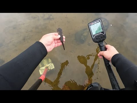 Видео: Поиск с Nokta Legend. Нашел интересное место в реке