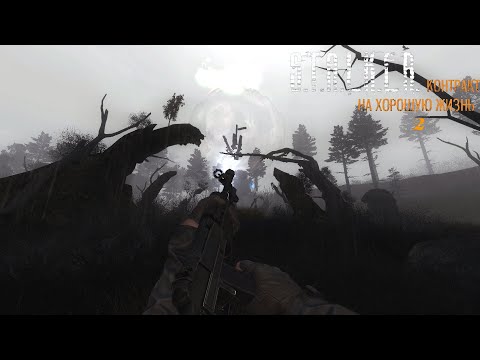 Видео: Аномалия, где в ней еще 3 аномалии с 3-мя странными артами | STALKER Контракт на хорошую жизнь | #2