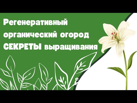 Видео: Регенеративный органический огород СЕКРЕТЫ выращивания