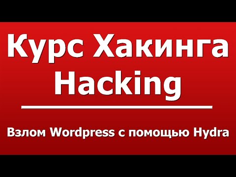 Видео: Взлом Wordpress с помощью Hydra