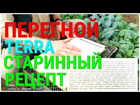 Видео: ПЕРЕГНОЙ. РЕЦЕПТ 1912 ГОДА. КАК ПРИГОТОВИТЬ НАСТОЯЩИЙ ПЕРЕГНОЙ TERRA ПО СТАРИННОМУ РЕЦЕПТУ!