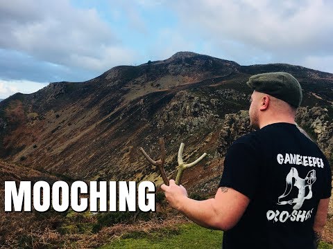 Видео: КАК СДЕЛАТЬ КАТАПУЛЬТУ ИЗ НАТУРАЛЬНОГО ЯСЕНЯ, УБЕЖИЩАТЬСЯ, СТРЕЛЬБАТЬ И ДРУГОЕ С ПОМОЩЬЮ КАТАПУЛЬ...