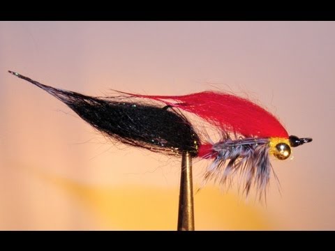 Видео: СТРИМЕР ДЛЯ СУДАКА 5 SVA