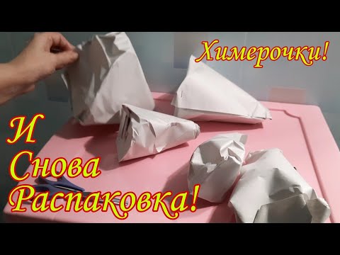 Видео: Распаковочка! Это точно последняя посылка с фиалками в этом году! 27.09.2023г.