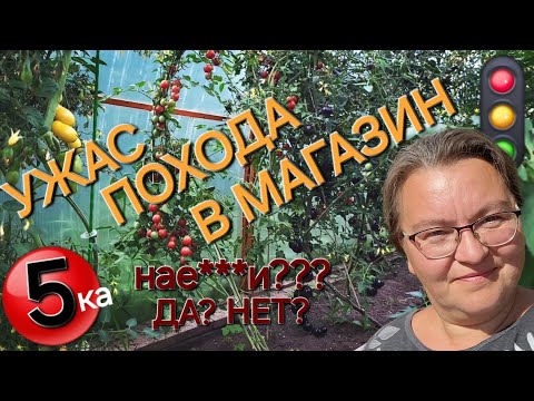 Видео: Что кушать будем?/Покупки Светофор и Пятёрочка🛍️/По лесам,по полям😉/ОДНА В ДЕРЕВНЕ👱🏼‍♀️