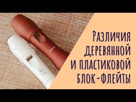 Видео: Деревянная и пластиковая флейта, барочная и немецкая система. В чём разница?