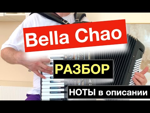 Видео: Сыграет каждый Аккордеонист!!! Bella Chao разбор как играть на Аккордеоне - урок аккордеона