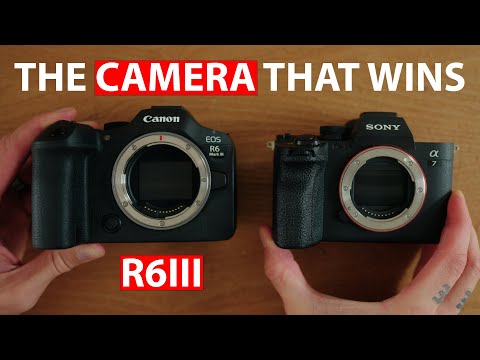 Видео: Практические впечатления от Canon R6III