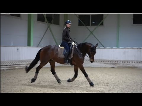 Видео: Одна небольшая тренировка с моей Пасификой, тракененская кобыла 3,5 года.
