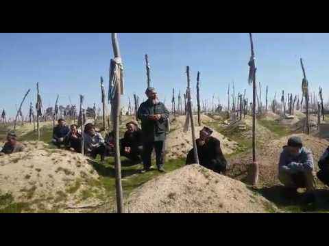 Видео: Кумсангир