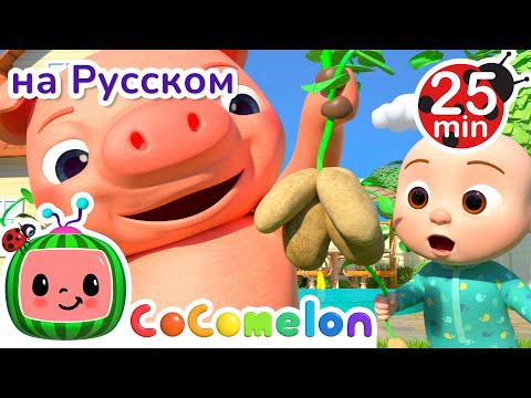 Видео: Раз Картошка, Два Картошка | 30 минут | CoComelon на русском — Детские песенки | Мультики для детей