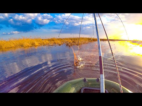 Видео: РЫБАЛКА НА ПАУК ВДАЛИ ОТ ЦИВИЛИЗАЦИИ! Встал в КАМЫШОВУЮ ЗАВОДЬ И ДАВАЙ ТАСКАТЬ!